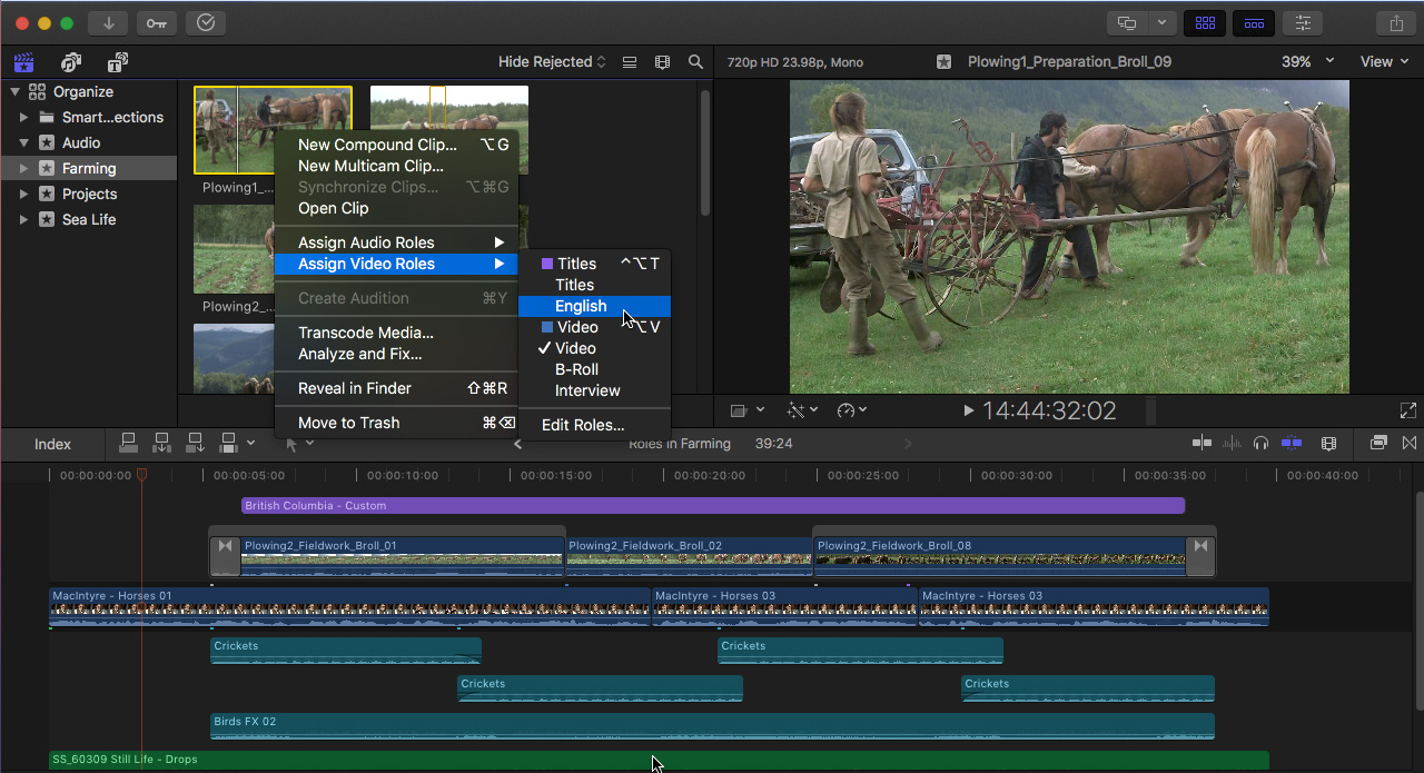 Final Cut Pro X image